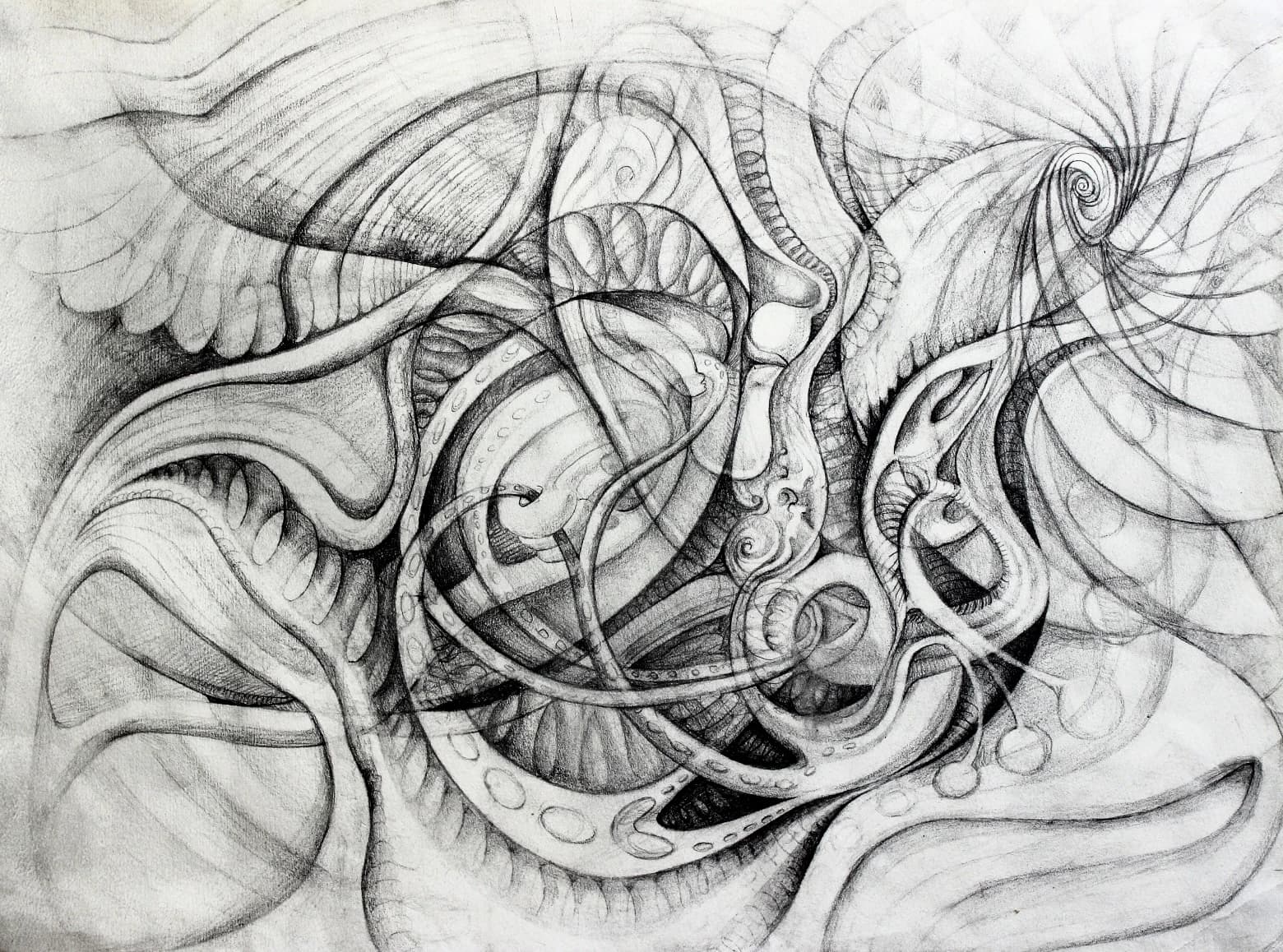 segment, Charcoal on paper