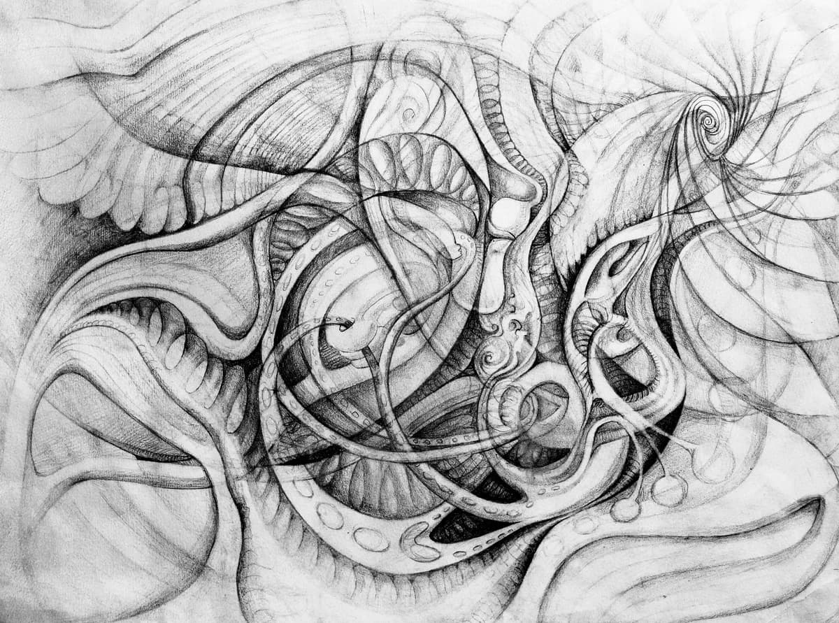 Segment, Charcoal on paper